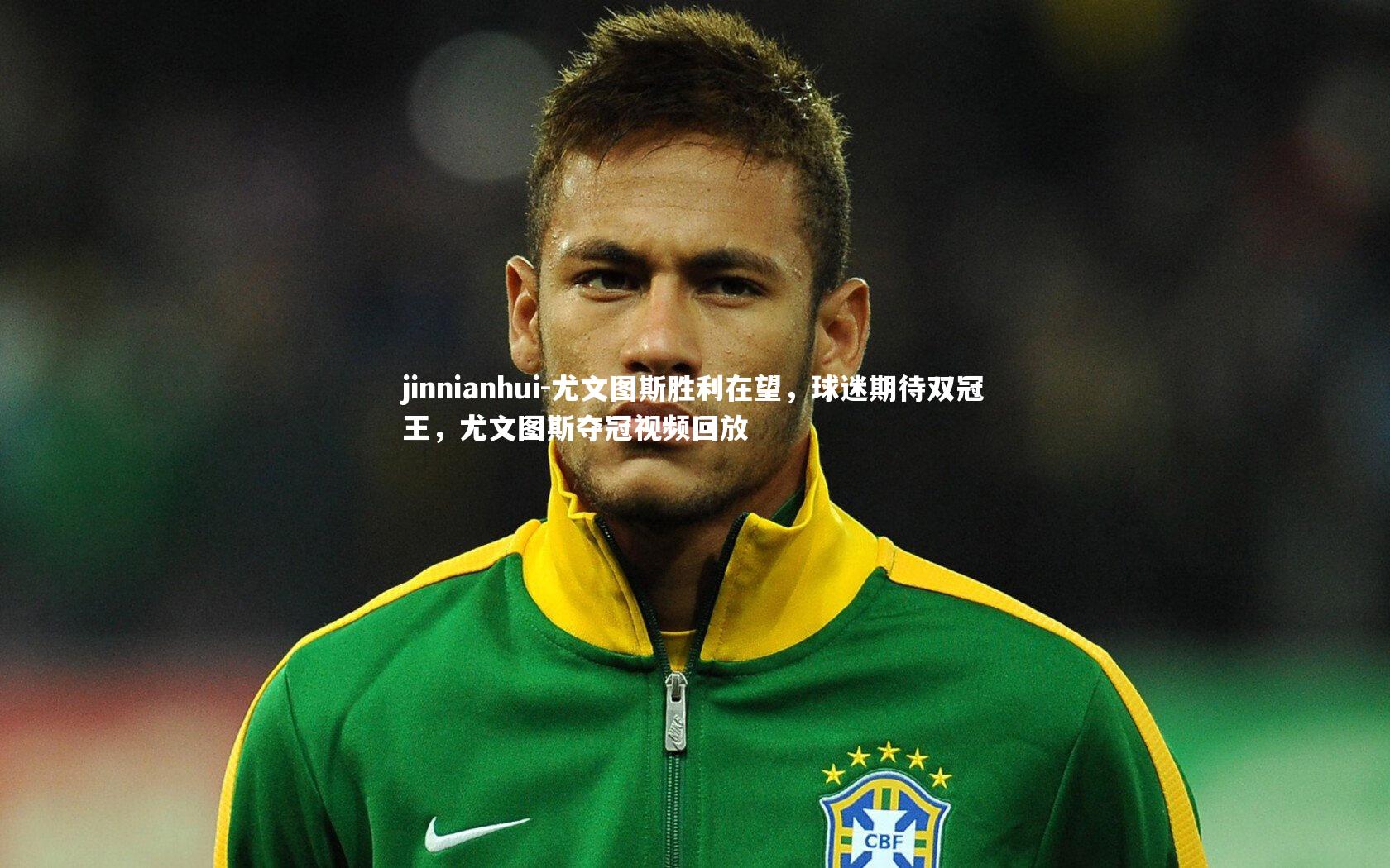 尤文图斯胜利在望,球迷期待双冠王,尤文图斯夺冠视频回放