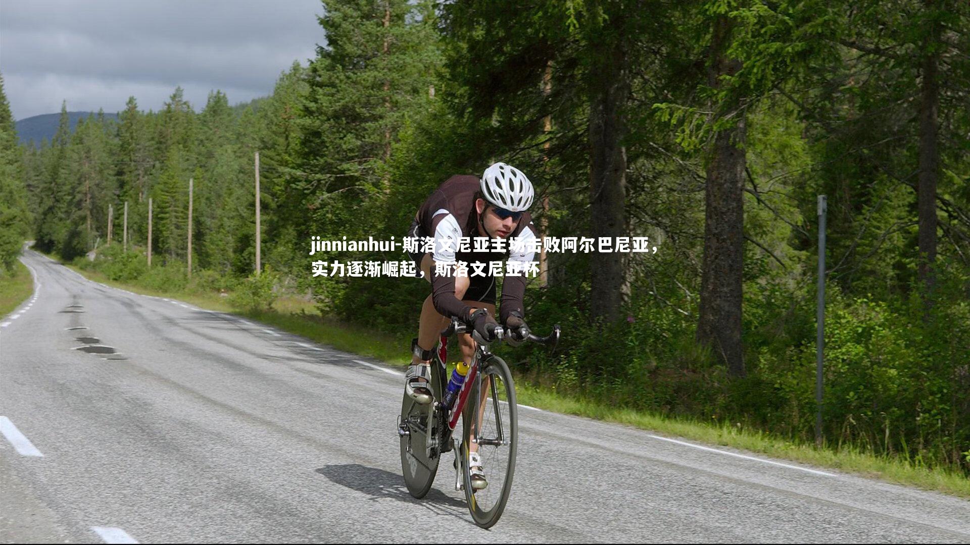 斯洛文尼亚主场击败阿尔巴尼亚,实力逐渐崛起,斯洛文尼亚杯