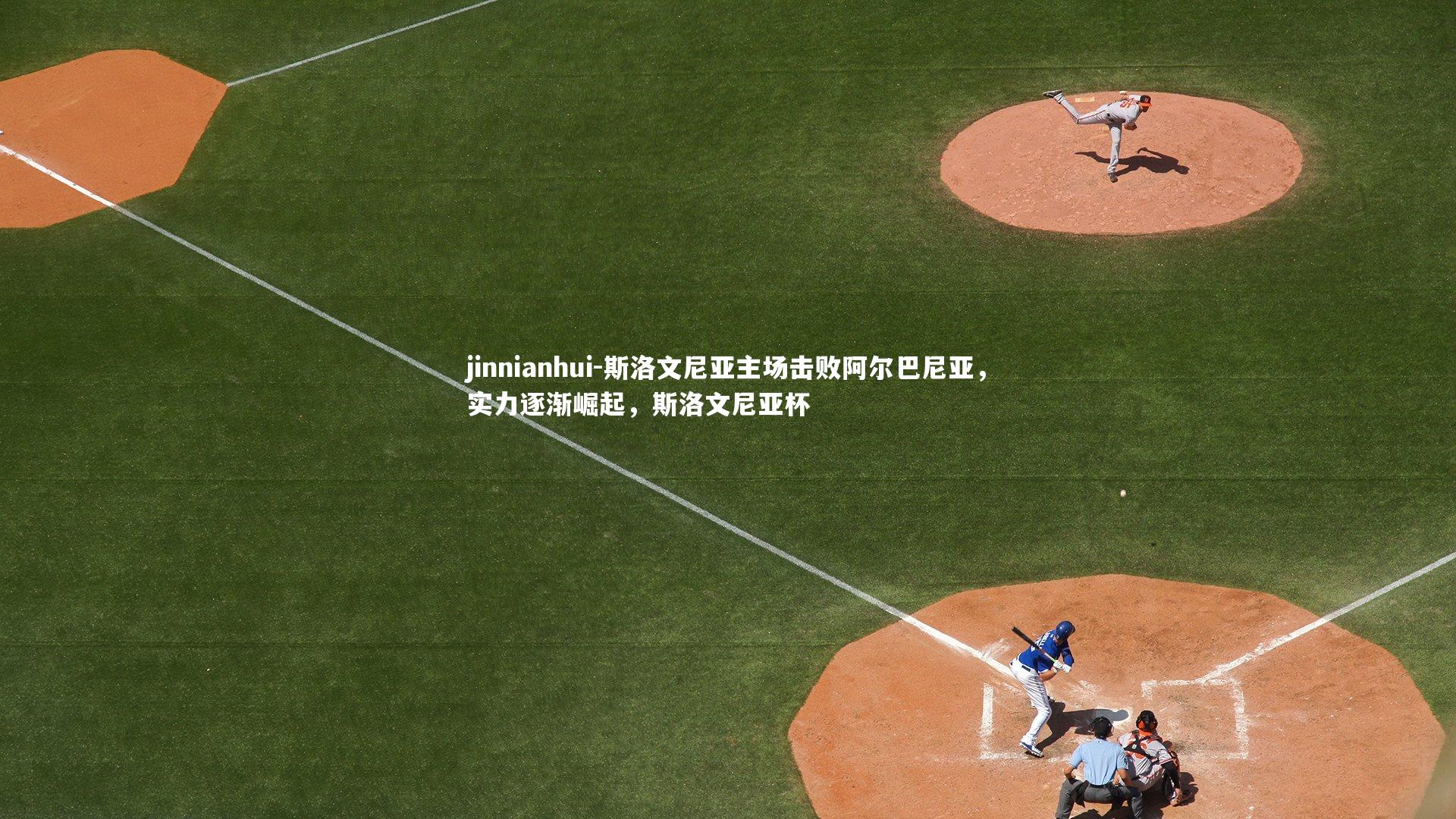 斯洛文尼亚主场击败阿尔巴尼亚,实力逐渐崛起,斯洛文尼亚杯