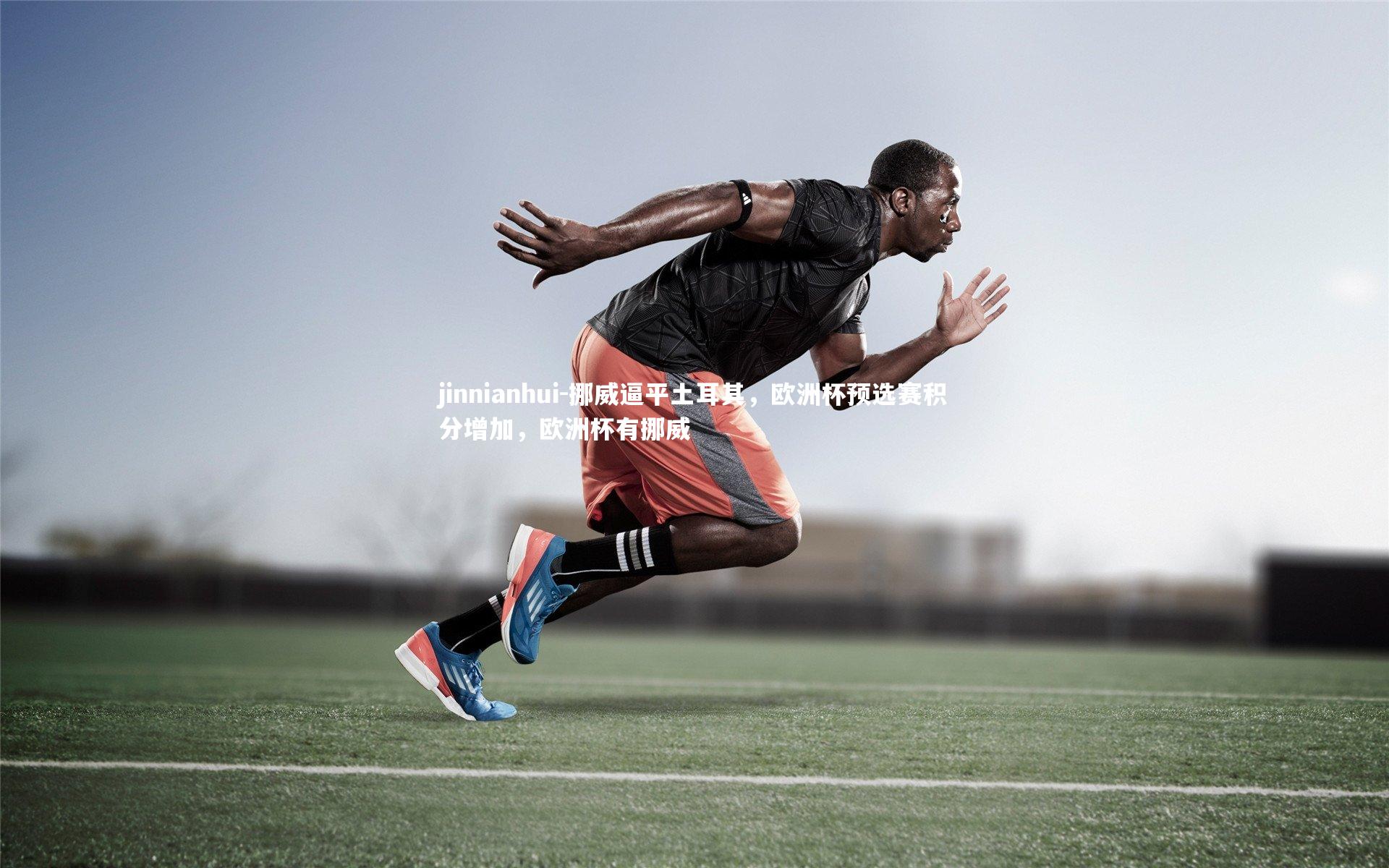 挪威逼平土耳其,欧洲杯预选赛积分增加,欧洲杯有挪威