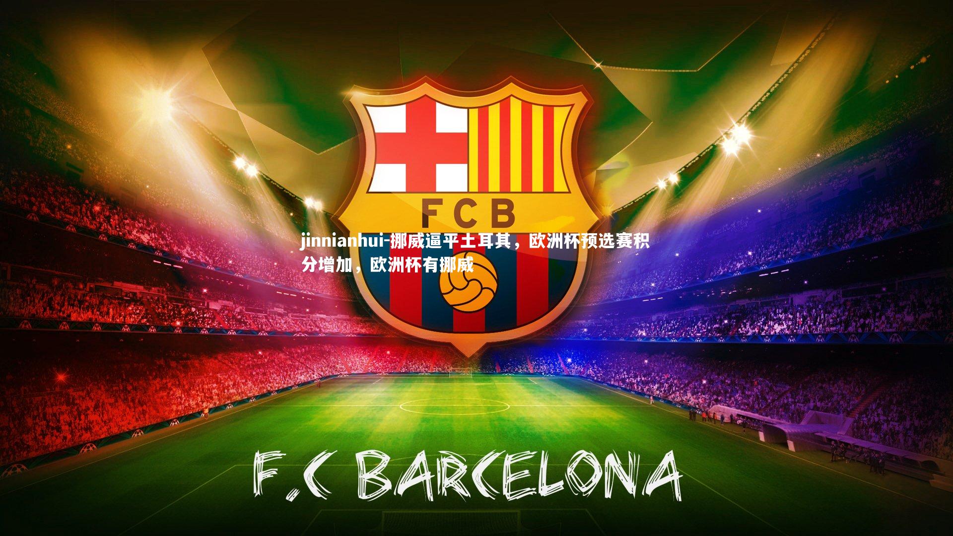 挪威逼平土耳其,欧洲杯预选赛积分增加,欧洲杯有挪威